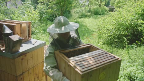 beekeeper moving brood frame box at apiary bee yard