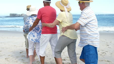 senior friends dancing on the beach