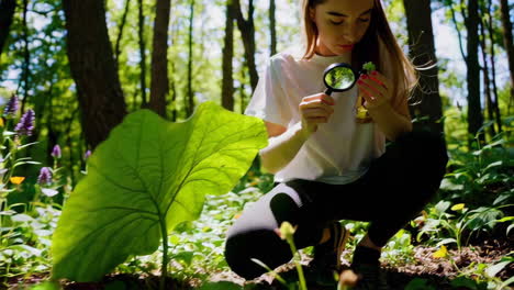 girl examining plants in a forest