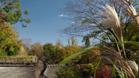 incredible cinematic view over ancient japanese straw roof village in fall