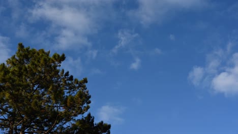 Clouds-moving-towards-the-left-captured-in-a-time-lapse-in-Phu-Ruea-also-revealing-a-pine-tree-shaking-with-the-wind,-Loei,-Thailand