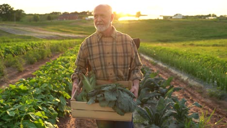 portrait of senior caucasian good looking wise man farmer looking at the side, turning face to the camera in a field