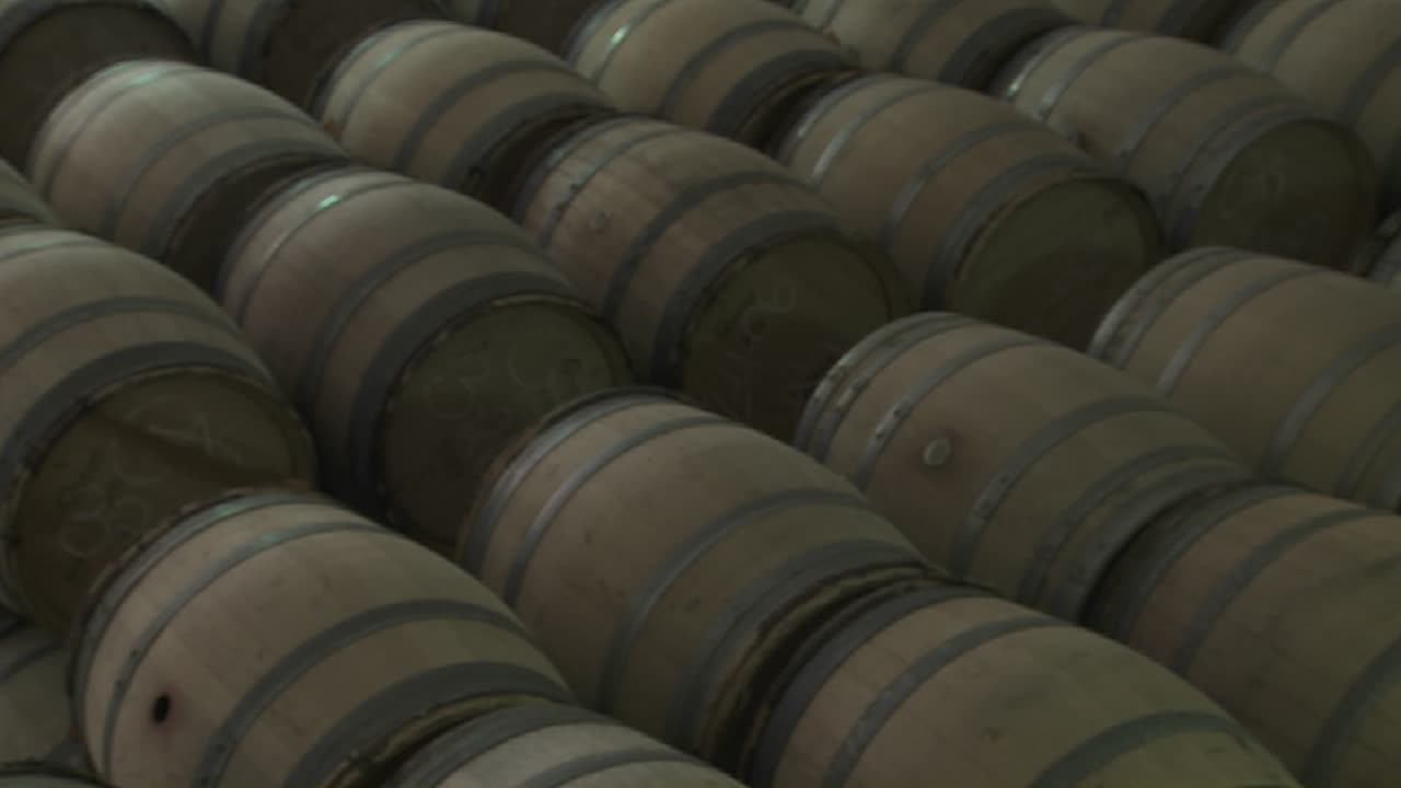 Barrels Of Beer In A Warehouse