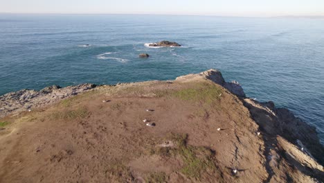 4K-aerial-drone-shot-overlooking-rock-at-Bandon-beach-in-Oregon