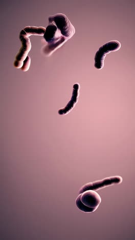 ilustración en 3d de las bacterias