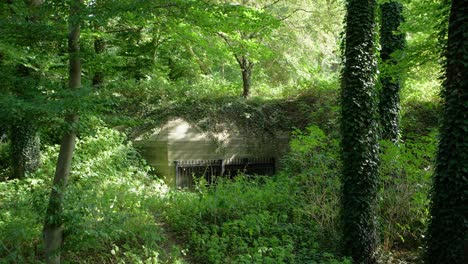 Old historic World War II bunker hidden in the forest of Amersfoort overgrown by weeds