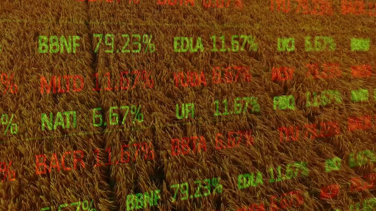 Animation der Finanzdatenverarbeitung über einem Agrarfeld