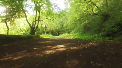 Drone-footage-of-peaceful-countryside-