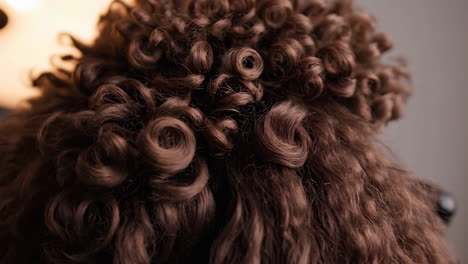 close-up of brown curly hair