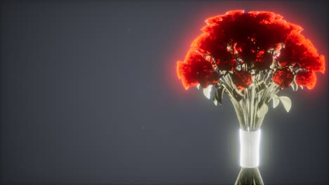 roses in the dark with light