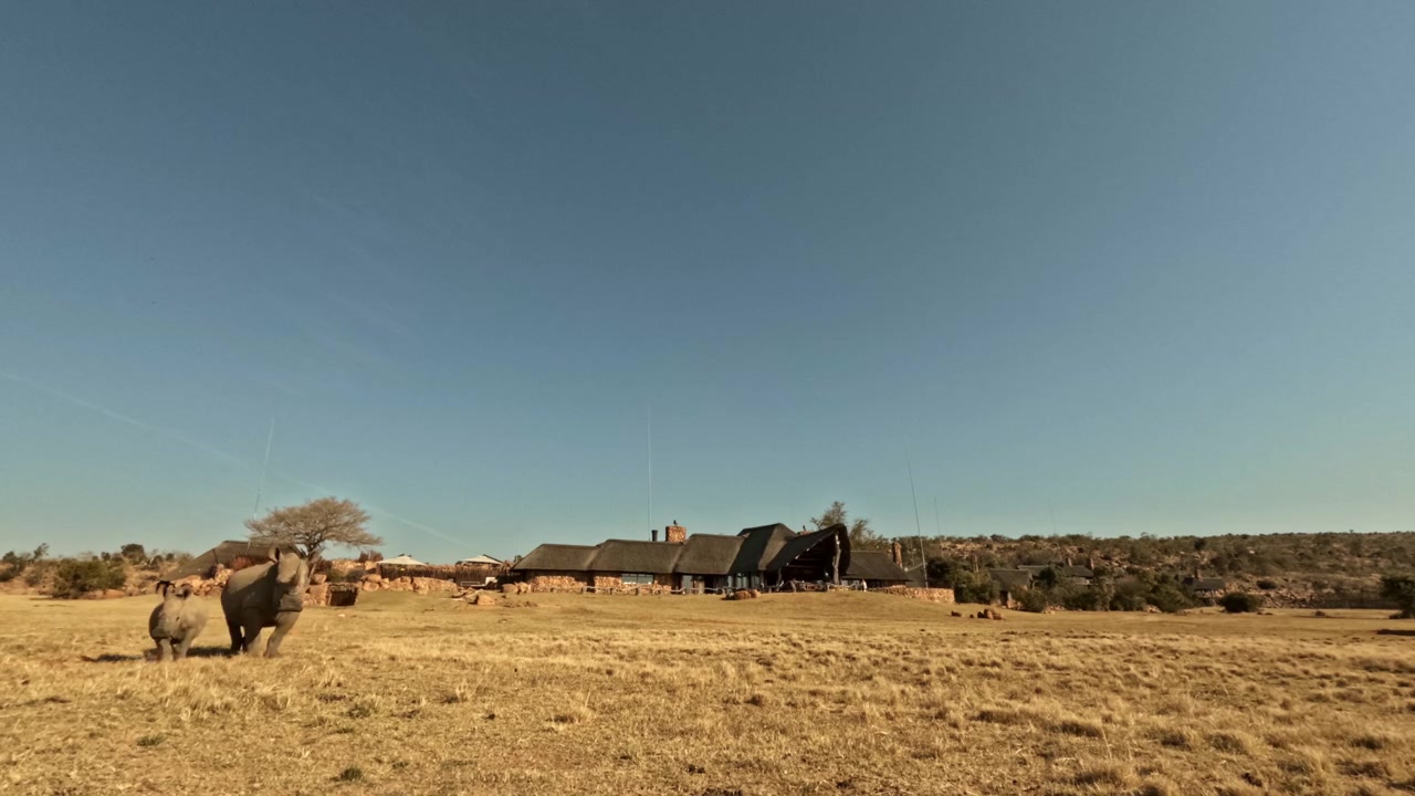 Timelapse de día a noche de un lodge de safari en Sudáfrica mientras los rinocerontes pasan