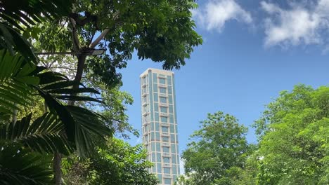 low angle shot of the 42, tallest building in kolkata visible through trees with blue sky in the background on a sunny day