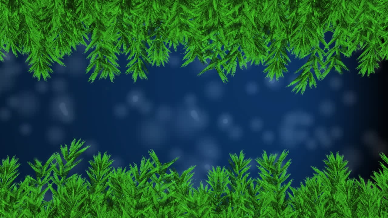 Animation of christmas tree branches over falling snow