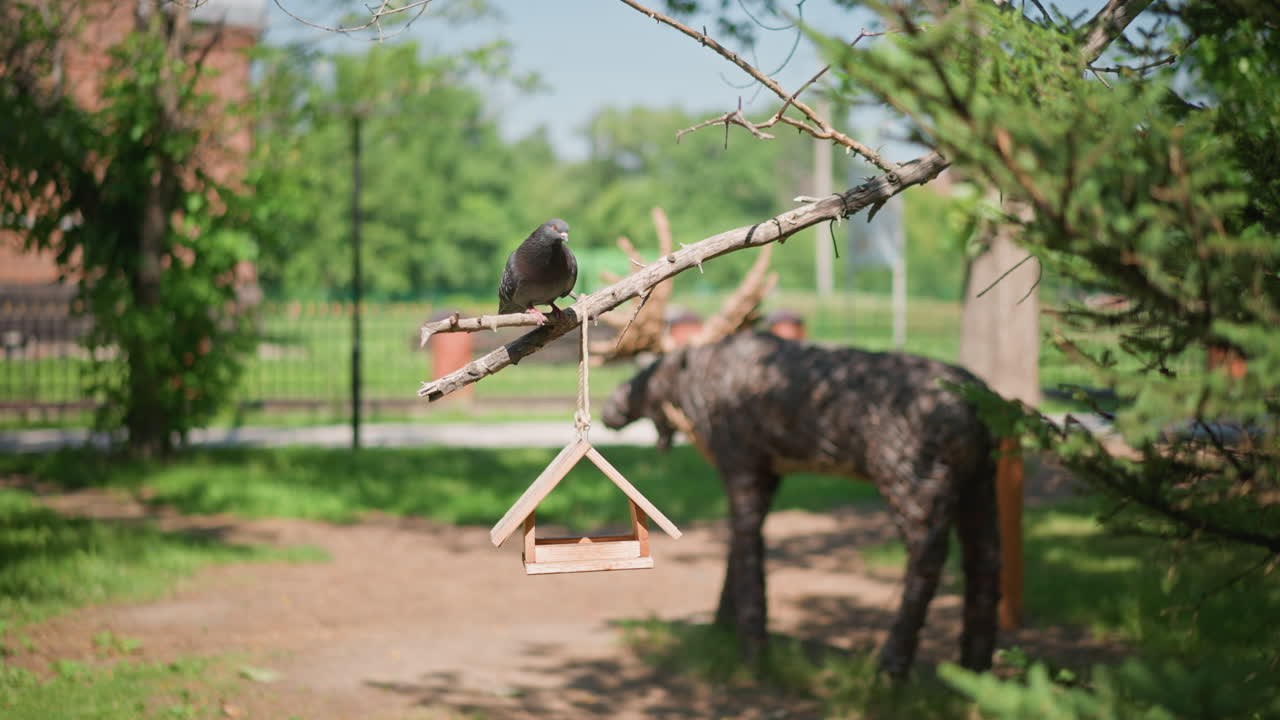 storno appollaiato su una mangiatoia di legno, vivace scena del parco, la telecamera si sposta per rivelare una scultura di alce dietro all'uccello che ispeziona il vassoio dei semi, delicati colpi d'ala, luce solare screziata attraverso la tettoia, recinzione e sentiero visibili