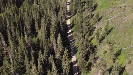 Aerial-above-dirt-road-in-the-Black-Hills,-South-Dakota,-panning-up-to-reveal-a-beautiful-sunny-mountain-valley