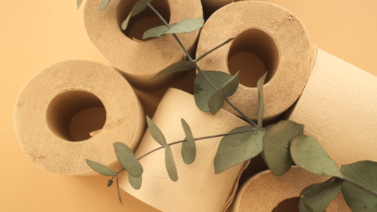 Eco-Friendly Toilet Paper with Eucalyptus