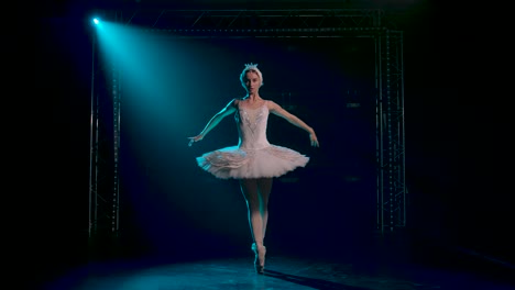 graceful ballerina dancing white swan part dancin 4k 2025 08 04 23 08 53 utc.mov | action, art, background, ballerina