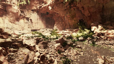 las hojas de helecho cuelgan verticalmente hacia abajo sobre la entrada de una antigua cueva de piedra