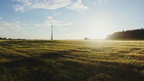 turbina eólica en un campo de trigo al atardecer