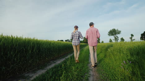 Dos-Jóvenes-Agricultores-Están-Caminando-A-Lo-Largo-De-Un-Camino-Rural-Entre-Un-Campo-De-Trigo-Hablando-Tiro-De-Steadicam