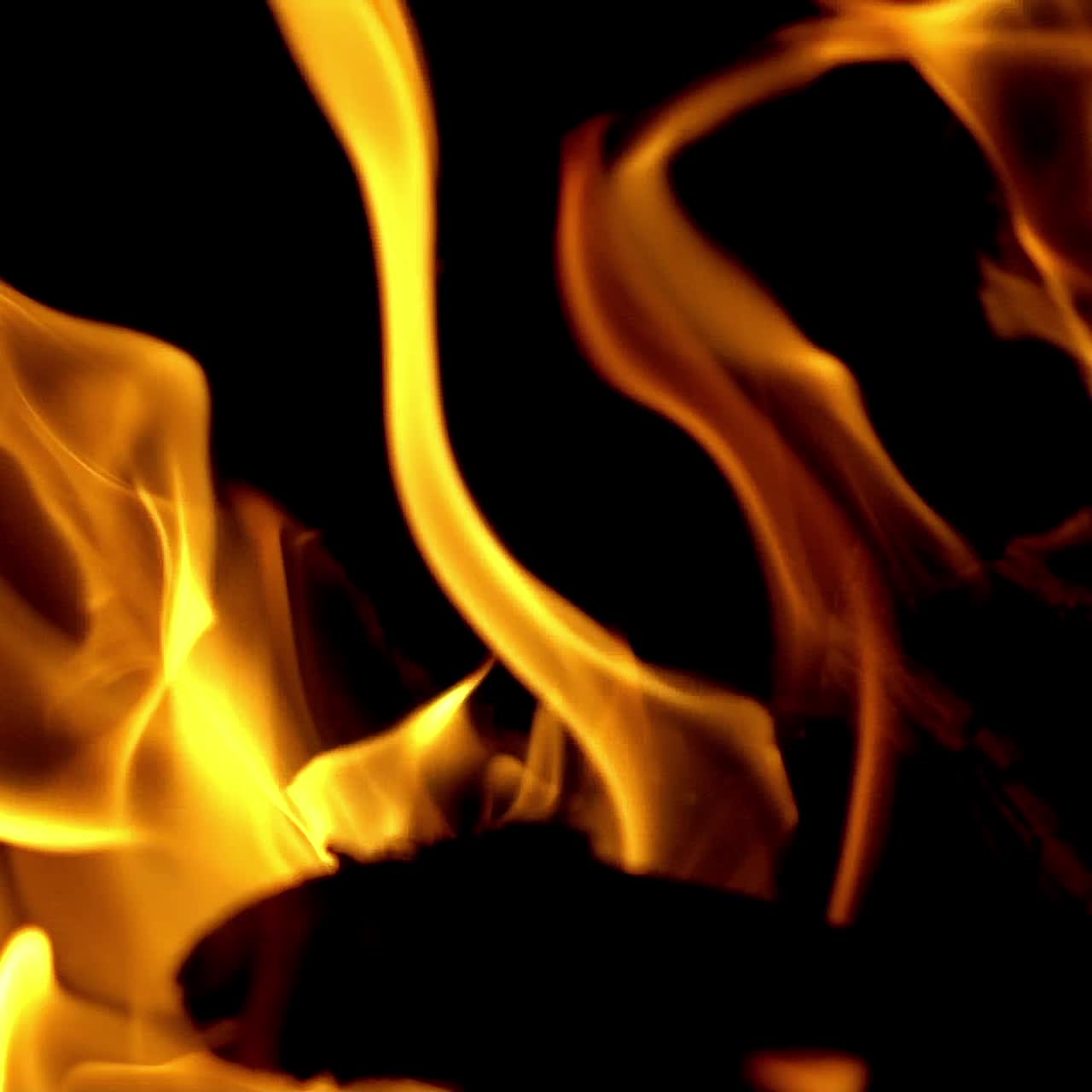 Burning fire. Bright burning wood slow motion. Splashes of flame and live coals.