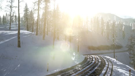 Flight-above-Winter-Forest