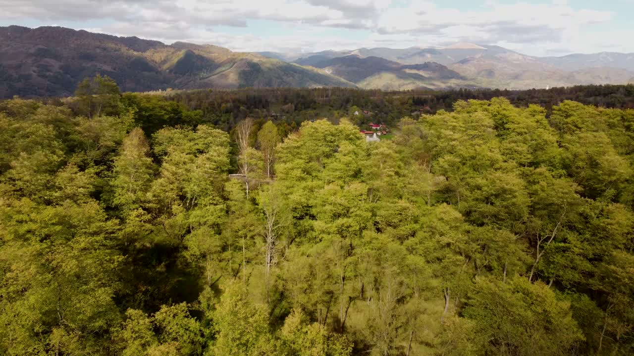 imágenes de stock de drones cinematográficos de 4k volando sobre un hermoso bosque en un otoño muy colorido en rumania
