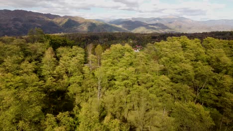 Filmische-4K-Drohnenaufnahmen,-Die-In-Einem-Sehr-Farbenfrohen-Herbst-In-Rumänien-über-Einen-Wunderschönen-Wald-Fliegen