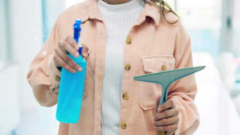 hands, spray bottle and a person cleaning glass