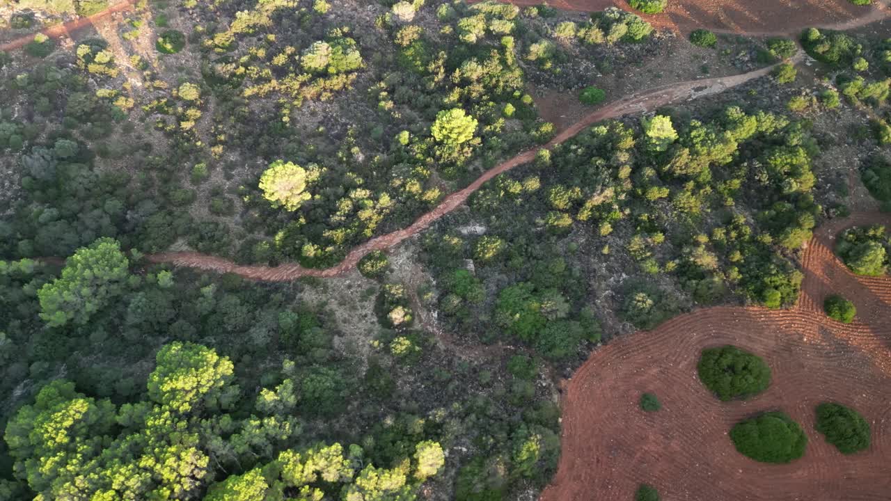 paisaje rural con vegetación cerca de la ciudad de sa coma en mallorca, españa