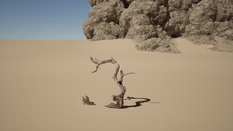 a dead tree stands in a desert with a rock formation in the background