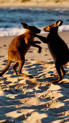 Two Joys on a Beach