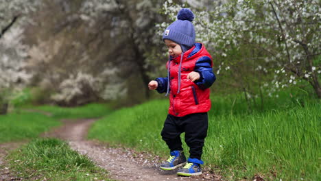 adorable toddler boy in blazer and cap walking in the nature. cute kid enjoys his walk on sunny spring day.