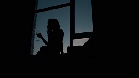 silhouette of girl holding wine glass against evening sky