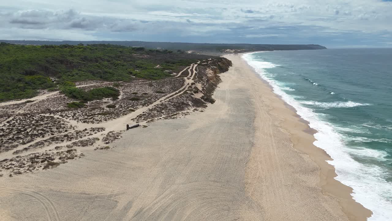 Aerial view of a beach with waves and vegetation