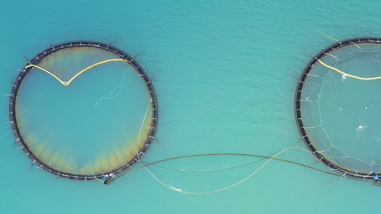 노르웨이에서 연어  ⁇ 시를 하는 공중 촬영