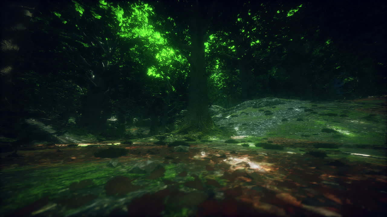 el bosque oscuro y misterioso