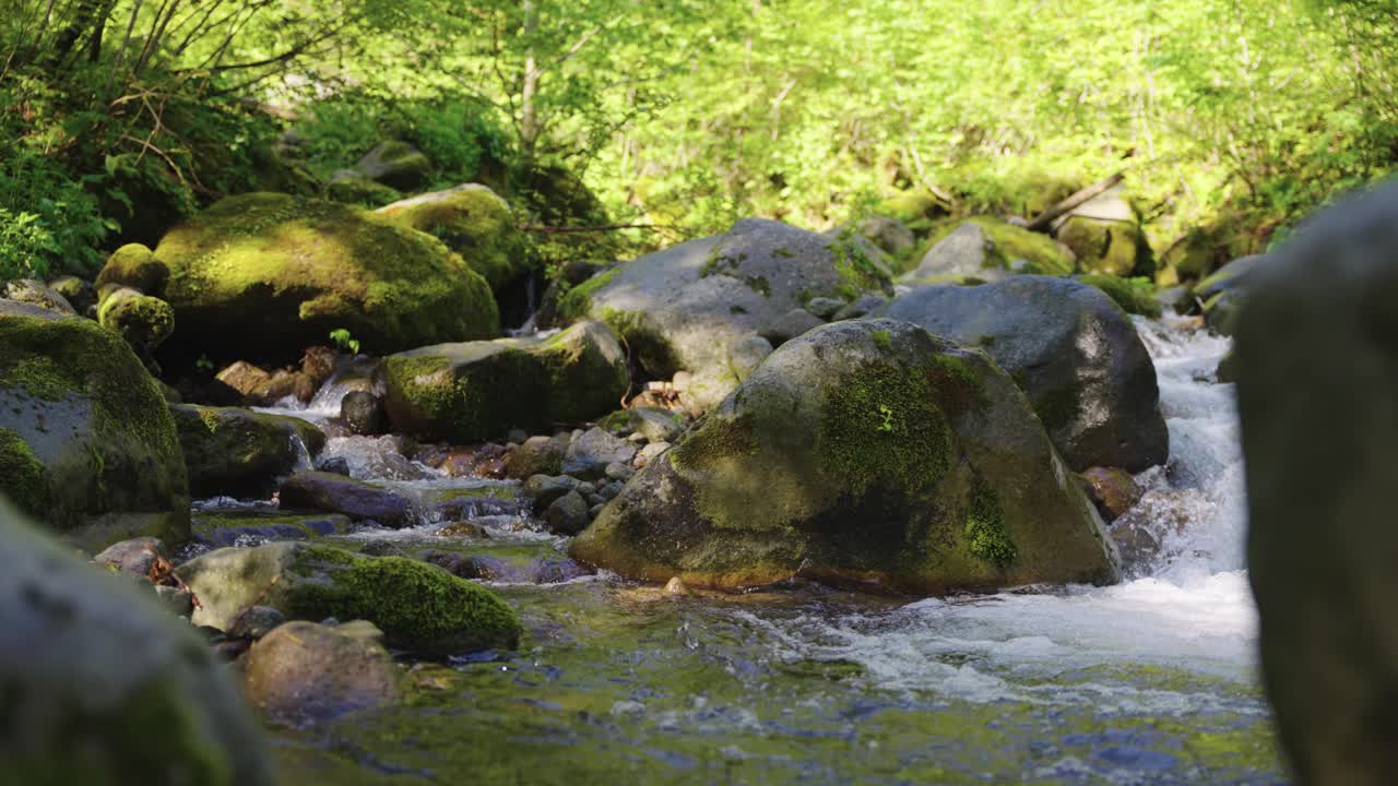 escena del río de montaña en tottori japón, parque nacional daisen