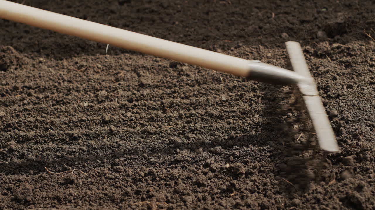 Farmer leveling the ground with a rake in the garden, preparing for planting. Side view