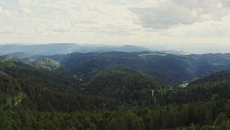 mountainous forest landscape