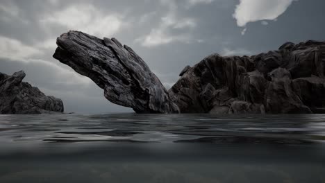 half underwater in northern sea with rocks