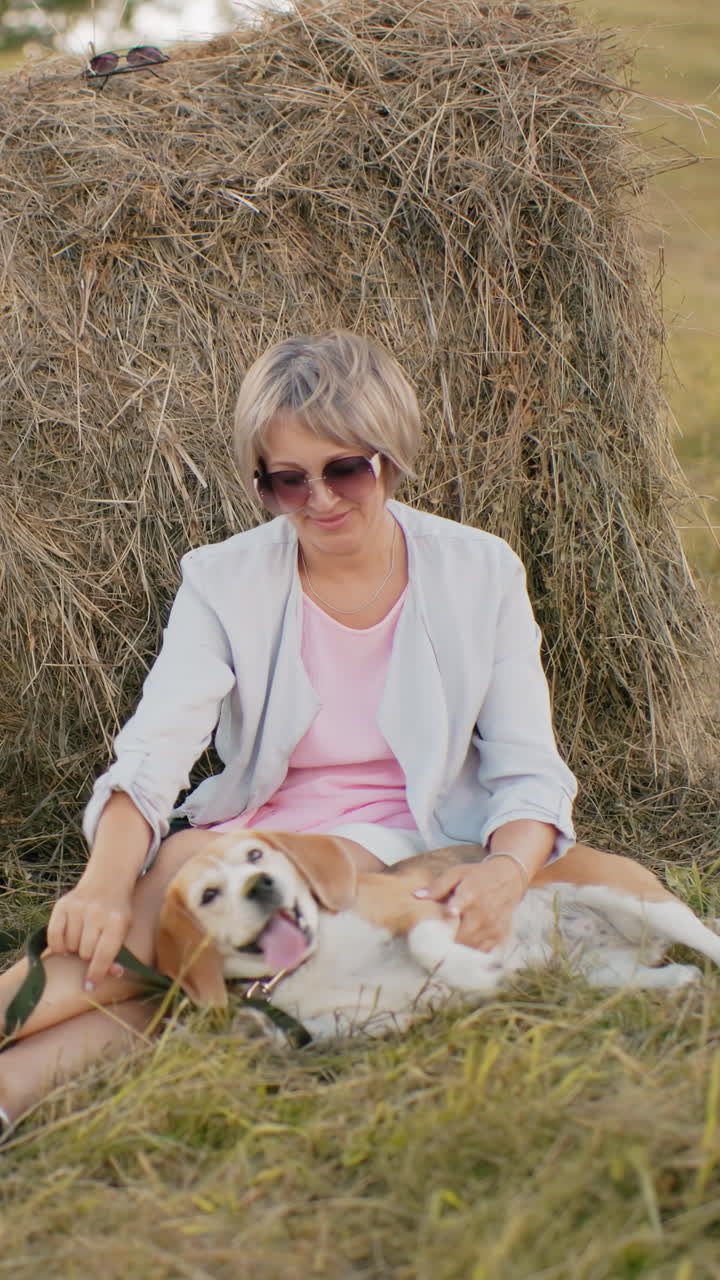 선글라스와 캐주얼 옷을 입은 여성은 건조한 잔디에 앉아 에 기대어 따뜻한 빛으로 개 귀를 부드럽게 문지르고, 열린 농장과 자연 환경에