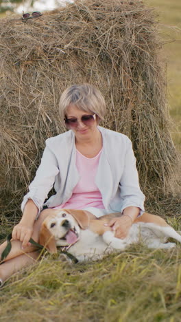 mujer con gafas de sol y traje casual se sienta en un campo de hierba seca, apoyándose en la bala de heno mientras frota suavemente la oreja del perro con la luz del sol cálida, tierras de cultivo abiertas y un entorno natural
