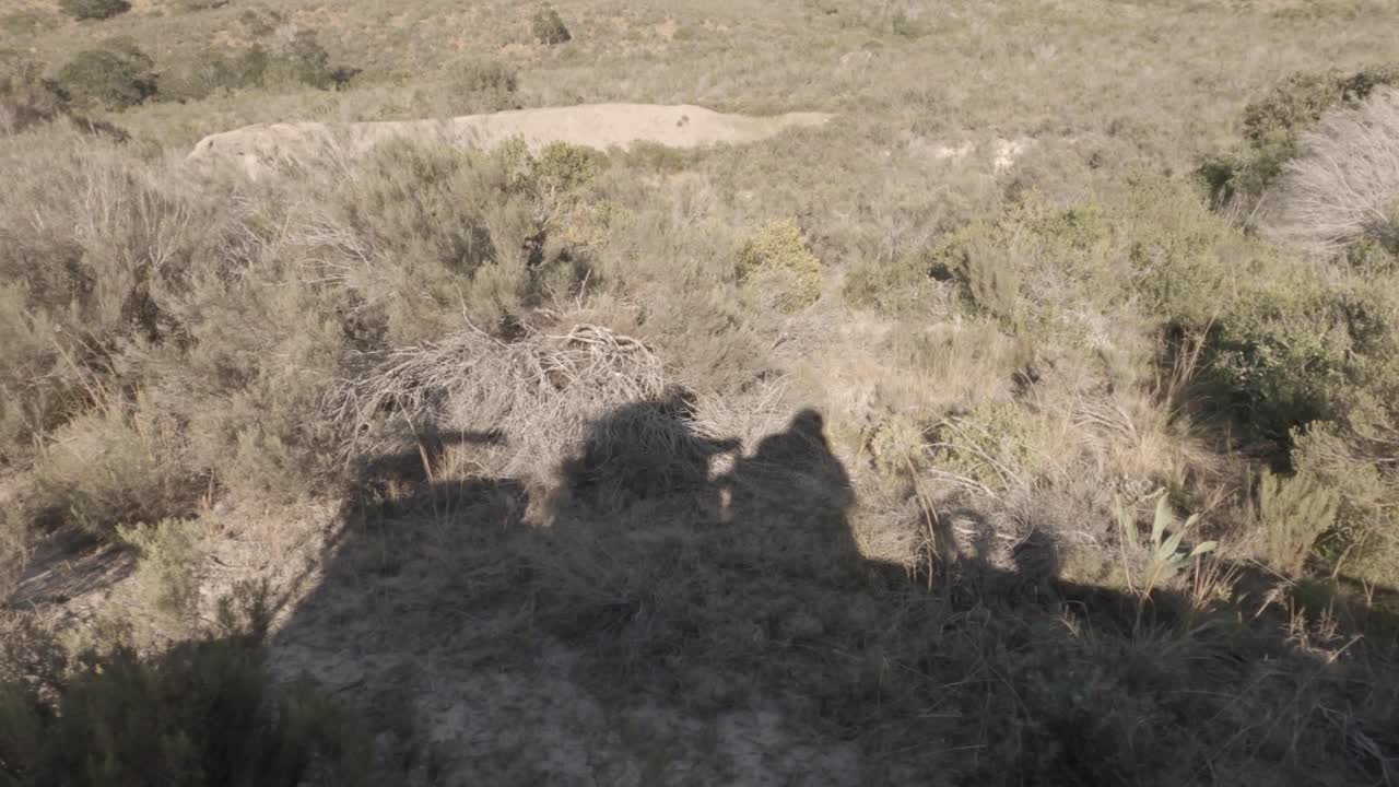 Safari vehicle in dry sepia African bushland as seen in the shadows
