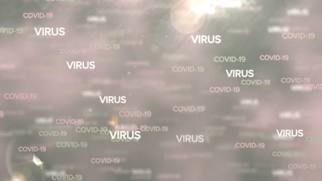 Animation-Mehrerer-Wörter-„Virus“-Und-„Covid-19“,-Geschrieben-Auf-Leuchtend-Grauem-Hintergrund.