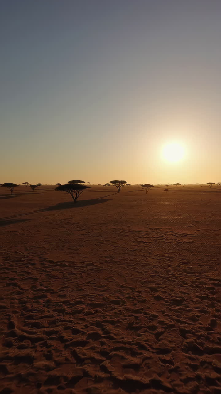 Sunrise over a Desert Landscape with Sparse Trees