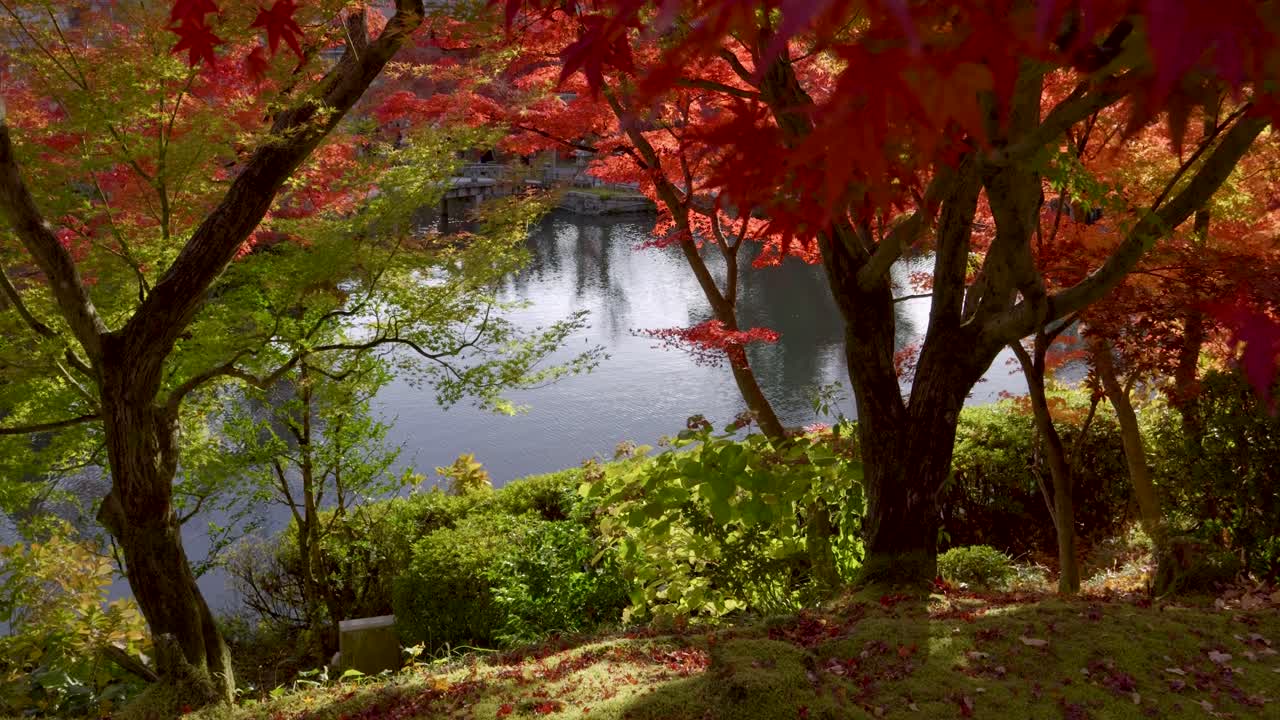 Slow sideways slider over fall color landscape garden in Japan with pond