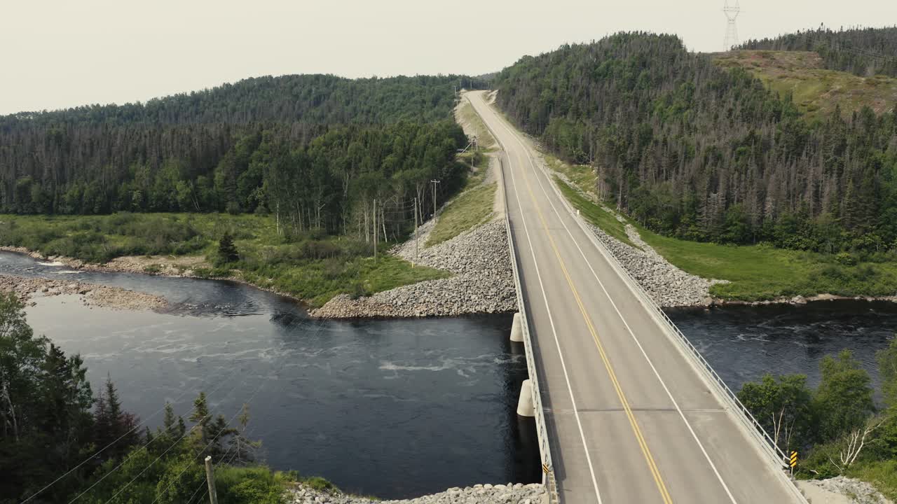 4k 연어 강이 다리 아래로 내려가는 모습 - 드론 비행 - 도로 - 하향식