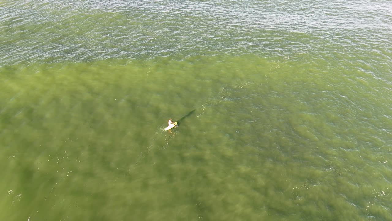 Drone captures a lone paddleboarder navigating tranquil, green waters under soft lighting