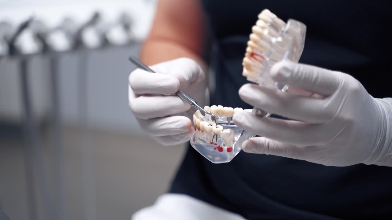 Dentist holding artificial jaw at the dental office. Doctor in gloves shows teeth by medical tool on a jaw mock. Close-up.